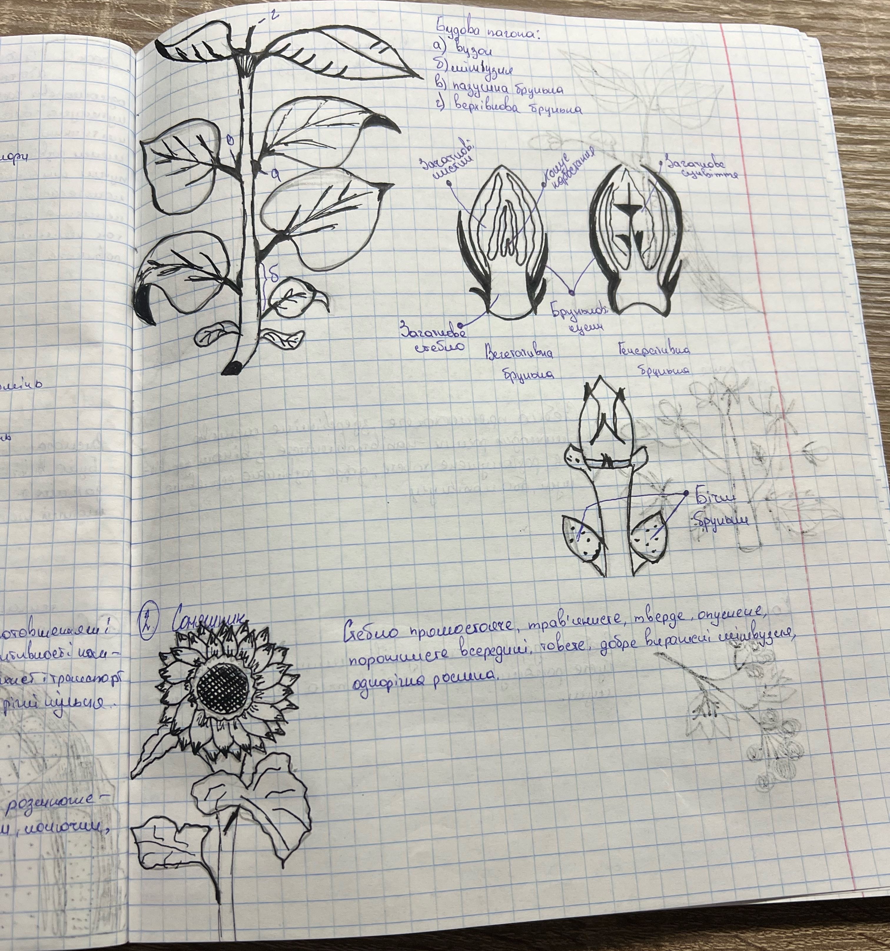 cdv photo 1764107770 20251125235610