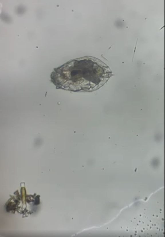 photo 5399920798120146609 y