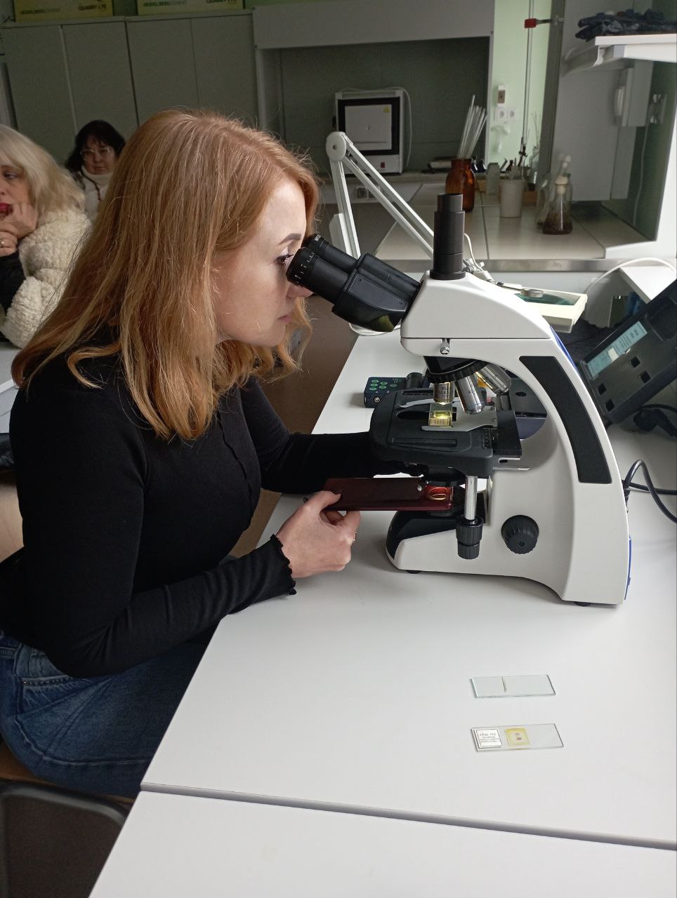 photo 5278546366663691796 y