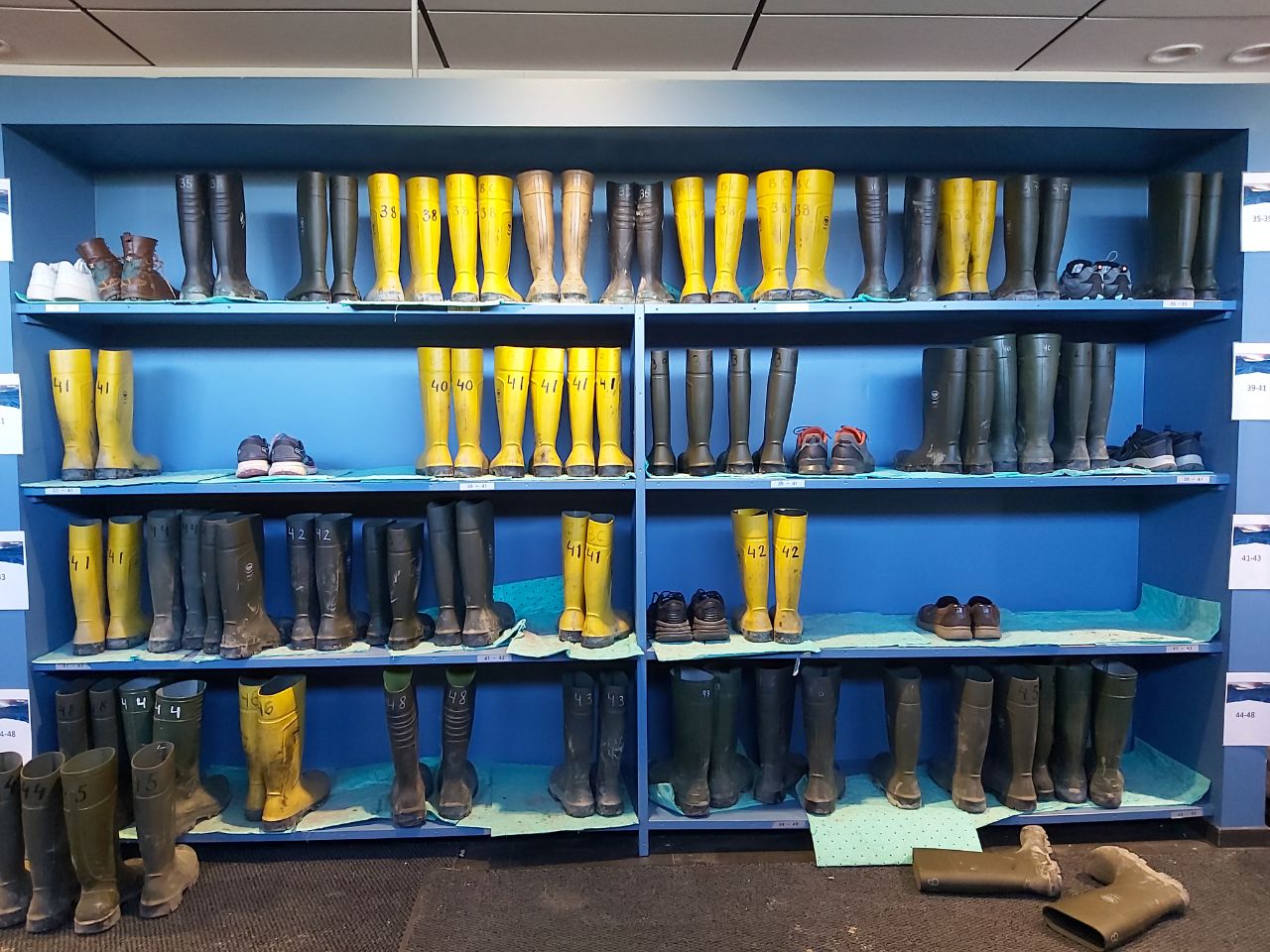 photo 2025 09 06 23 16 46