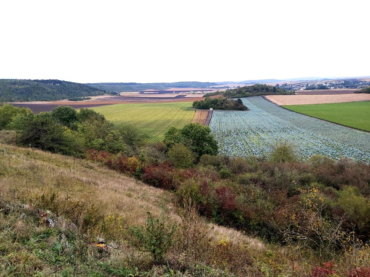 photo 2025 10 05 20 43 28