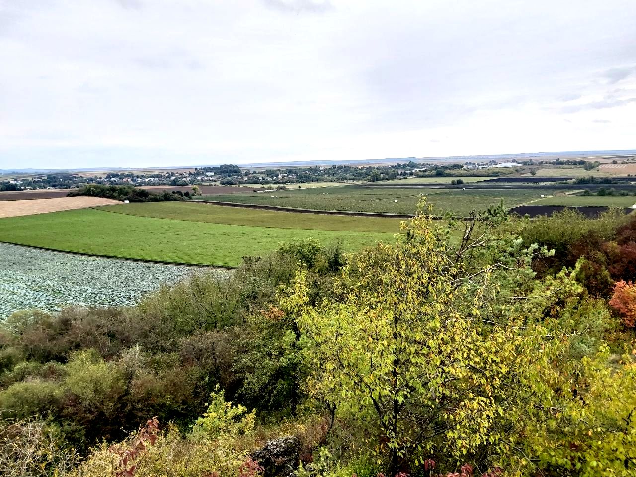 photo 2025 10 05 20 43 30