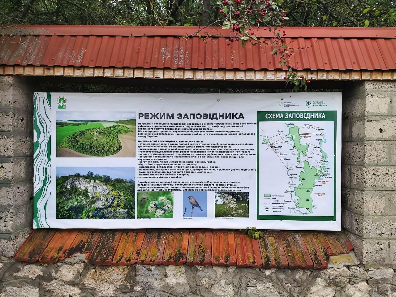 photo 2025 10 05 20 43 59