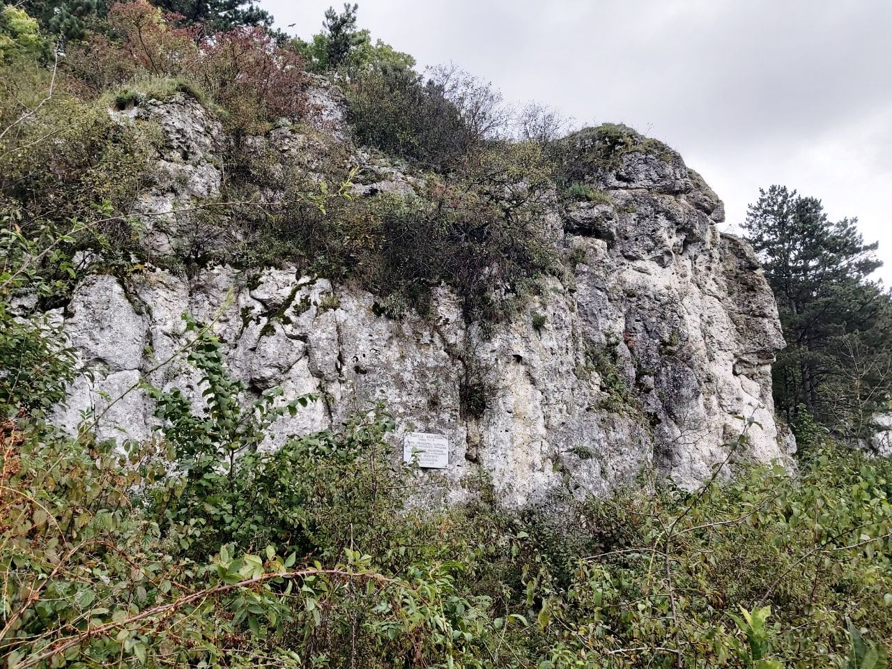 photo 2025 10 05 20 44 32