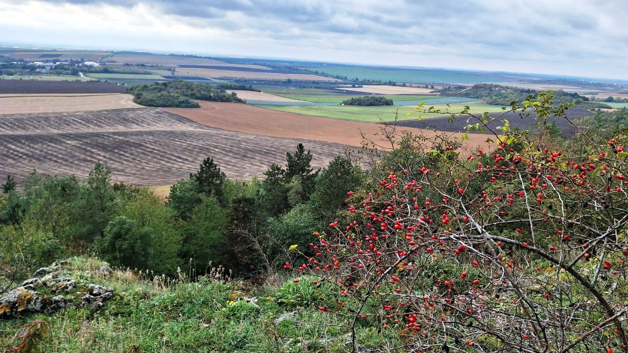 photo 2025 10 09 18 28 29