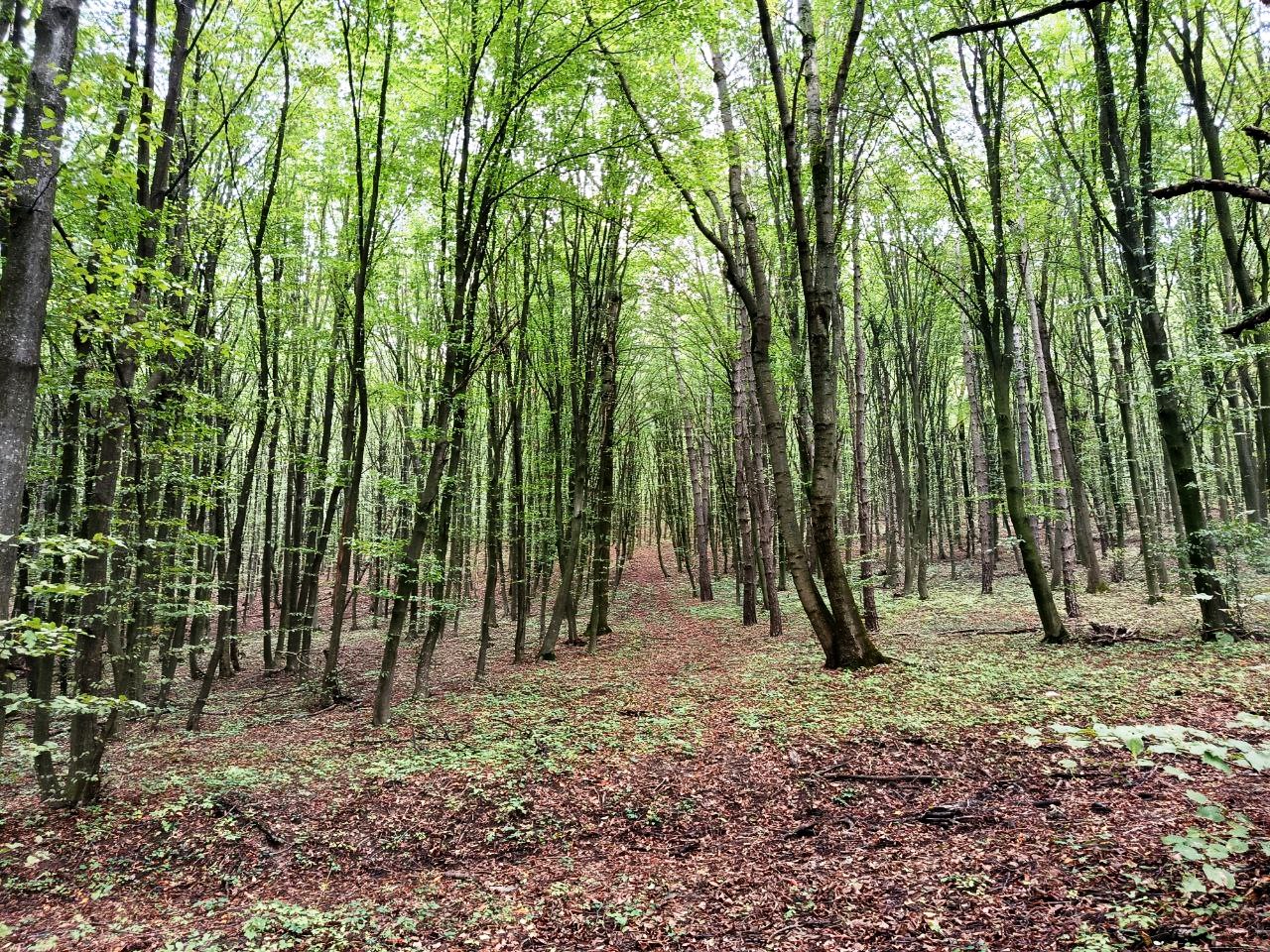 photo 2025 10 12 15 23 46