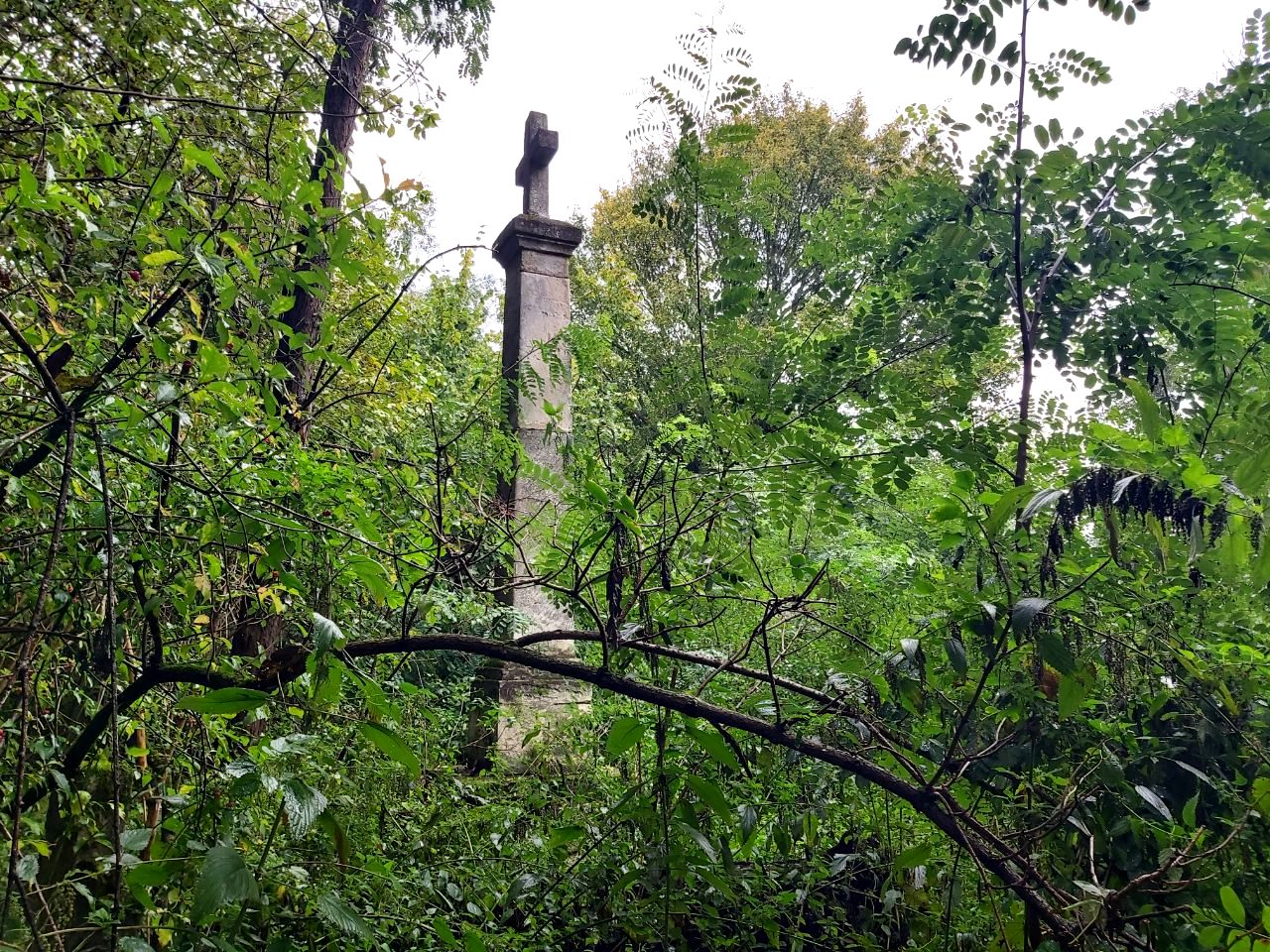 photo 2025 10 09 15 49 50