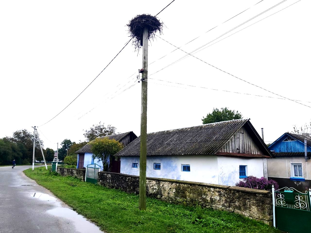 photo 2025 10 09 15 49 52 2