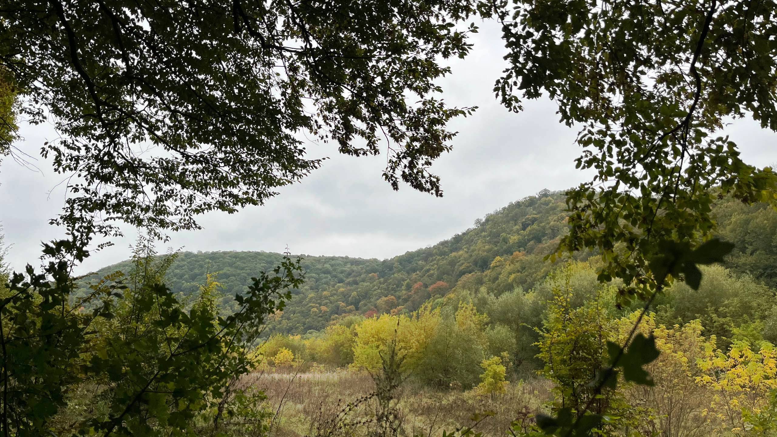 photo 2025 10 12 14 49 37