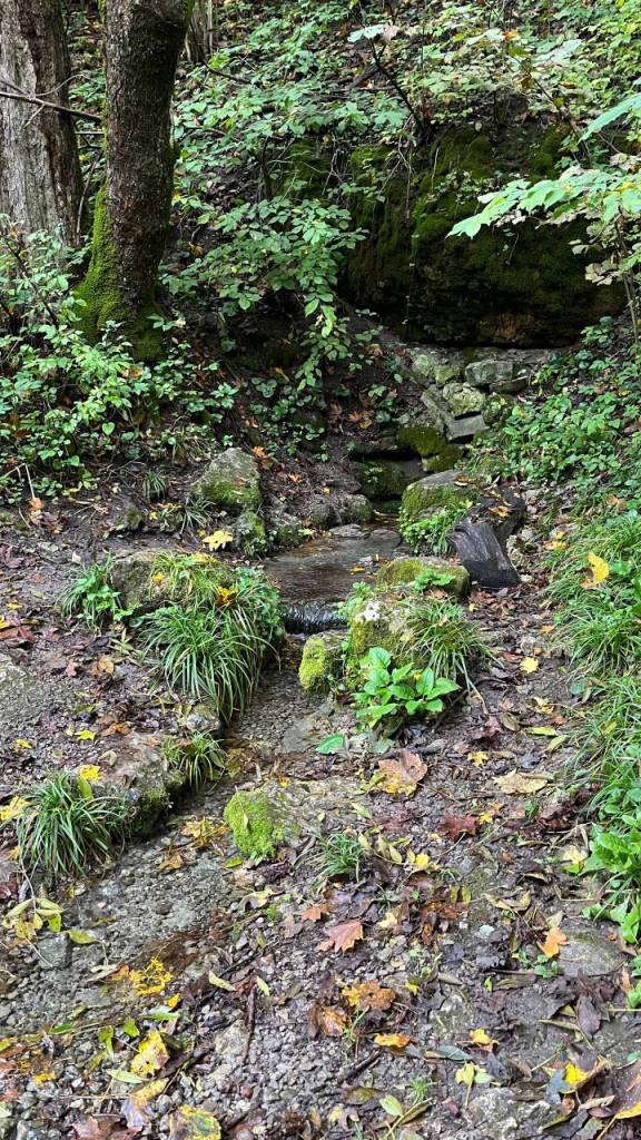 photo 2025 10 12 14 49 41