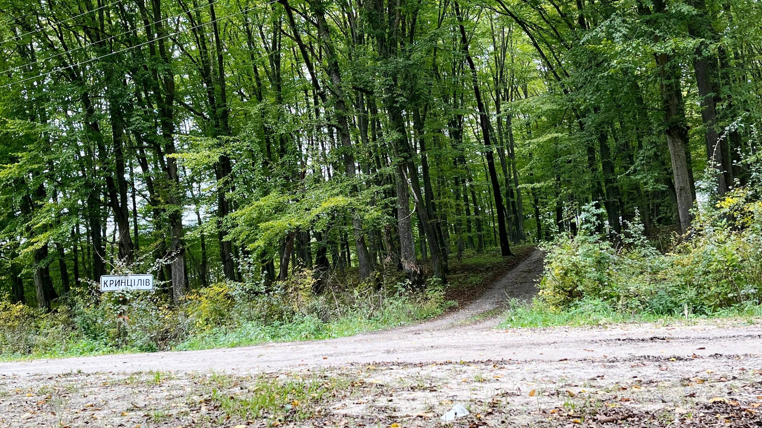 photo 2025 10 12 14 50 01