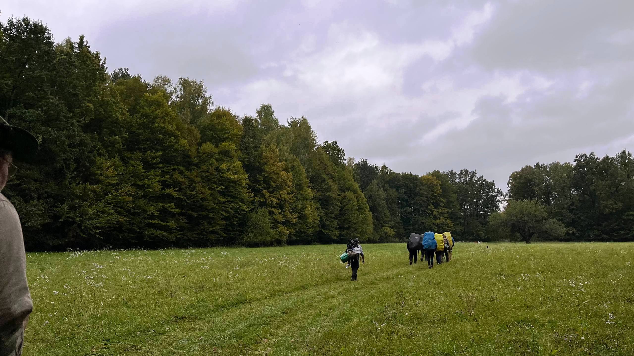 photo 2025 10 12 14 50 11