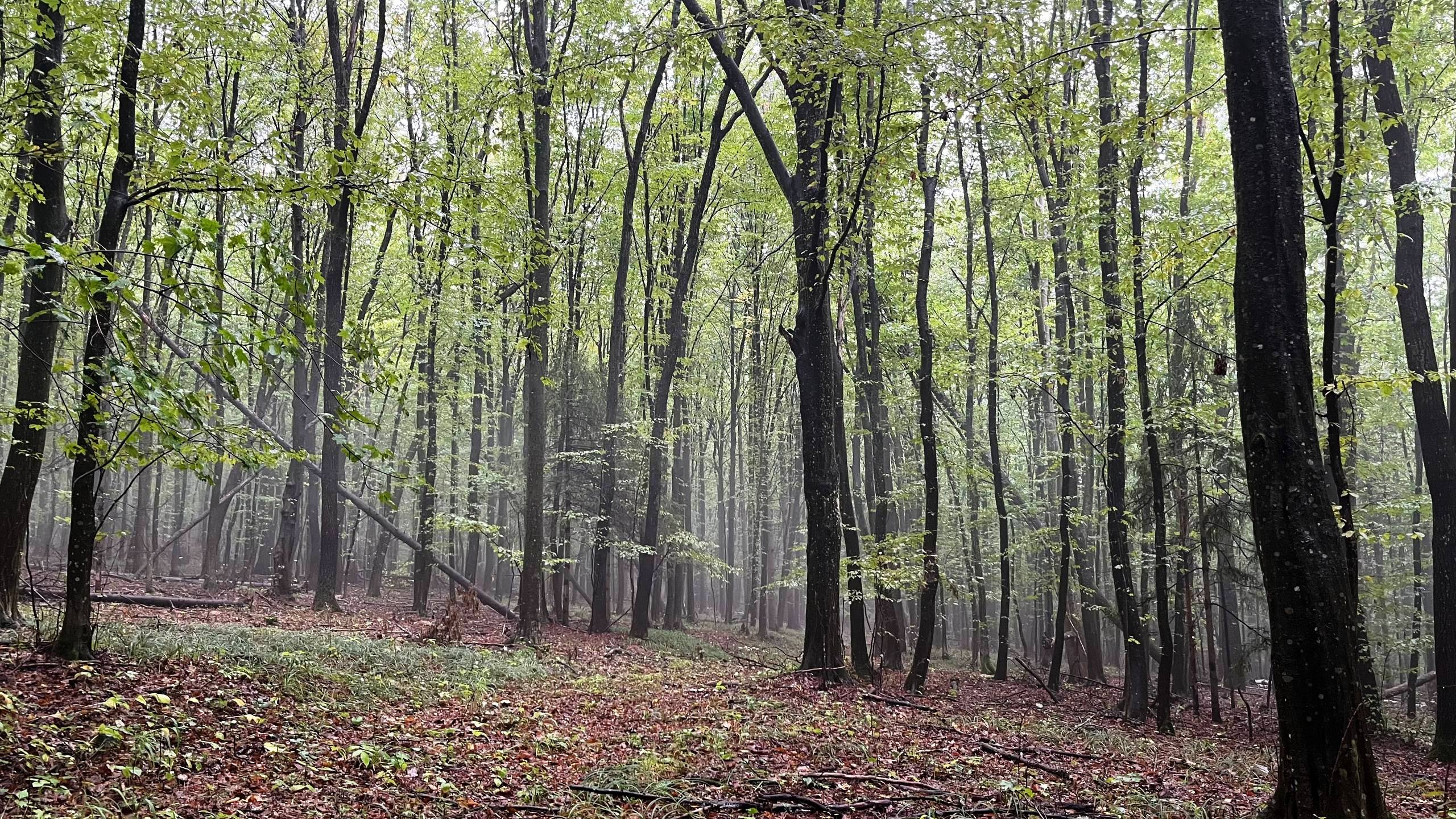 photo 2025 10 12 14 42 57