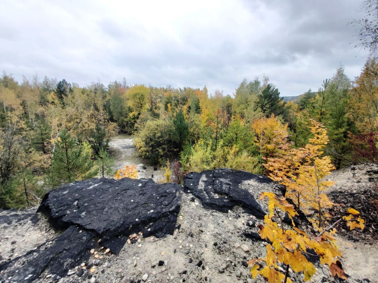 photo 2025 10 10 22 14 39 2