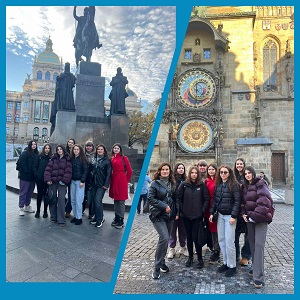 InCollage 20251119 123626885