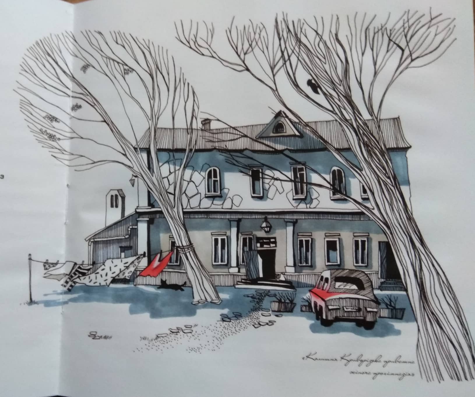 49125009 1481593681973937 6170470486418391040 n