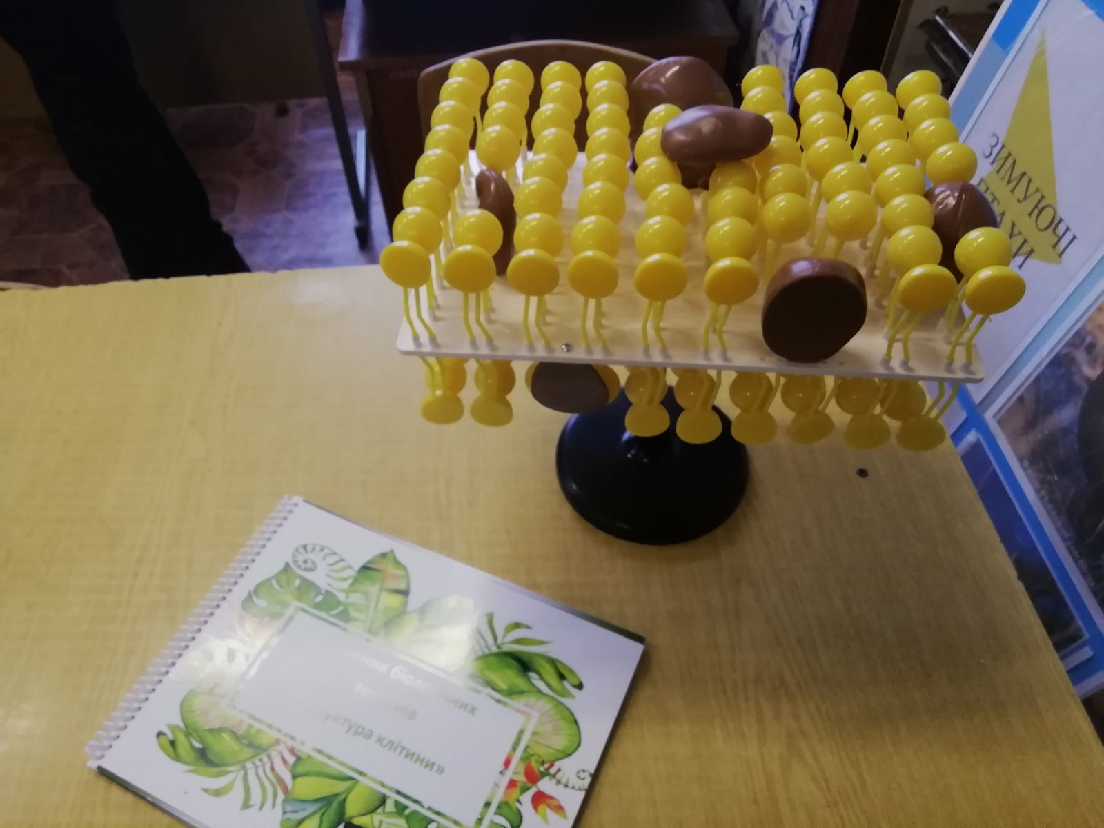 изображение viber 2020 12 17 11 20 26