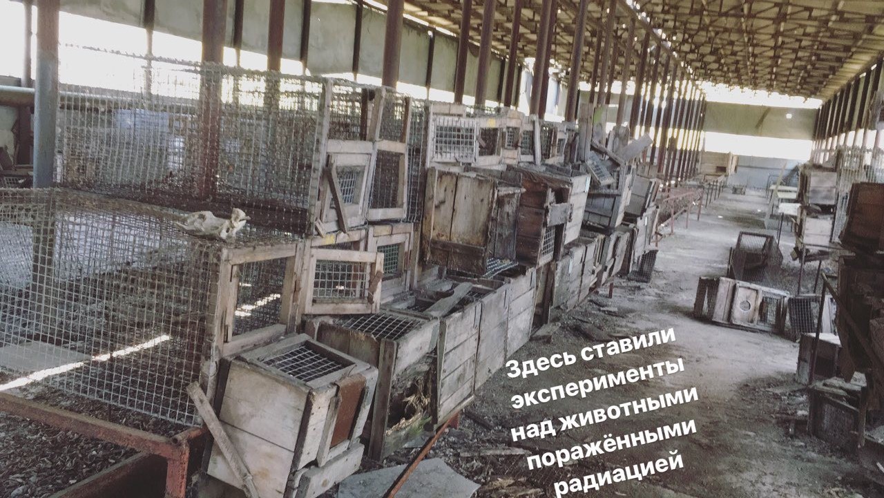 чорнобиль 14