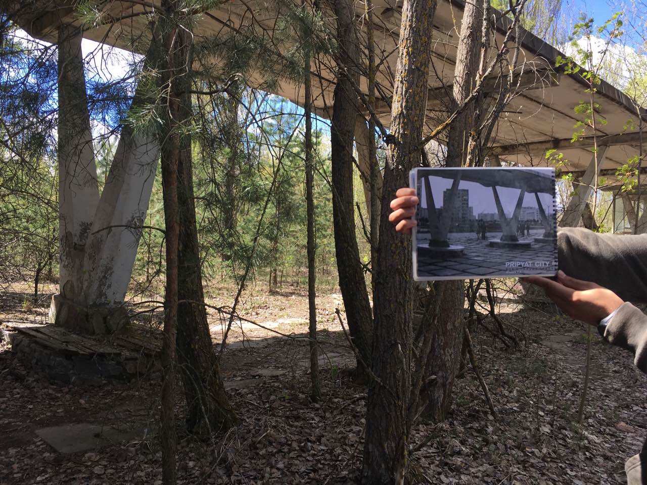 чорнобиль 6