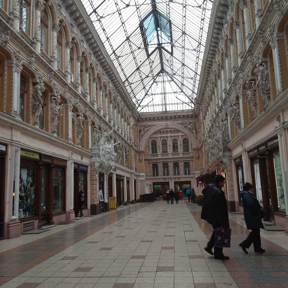 84487851 786773821834731 2716911322636746752 n