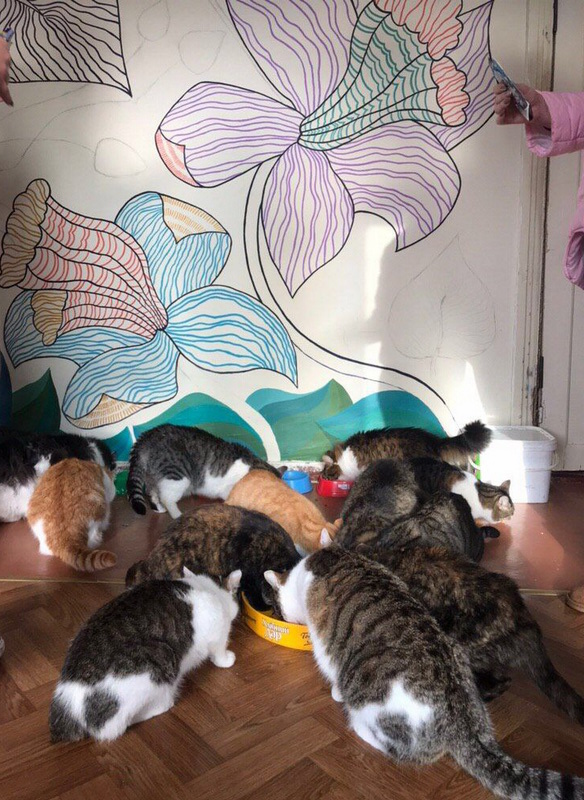 зображення viber 2019 12 18 10 28 39 новый размер