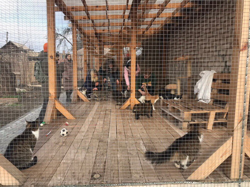 зображення viber 2019 12 18 10 28 49 новый размер