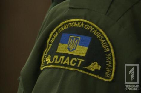 пласт шеврон