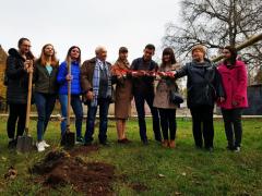 Висадка дерев на алеї дубів