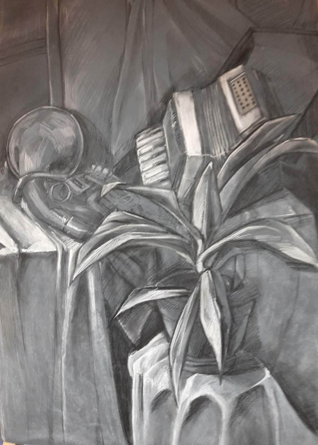 330161326 760406118764355 4166786156673251361 n