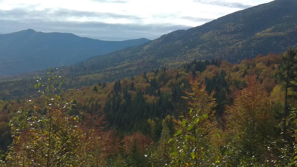 photo 2021 01 23 11 11 32