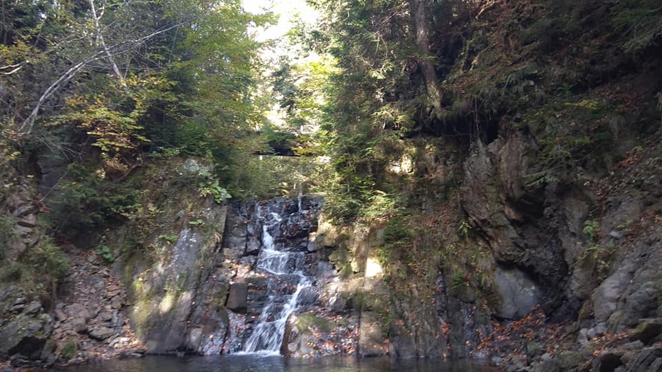 photo 2021 01 23 11 11 321