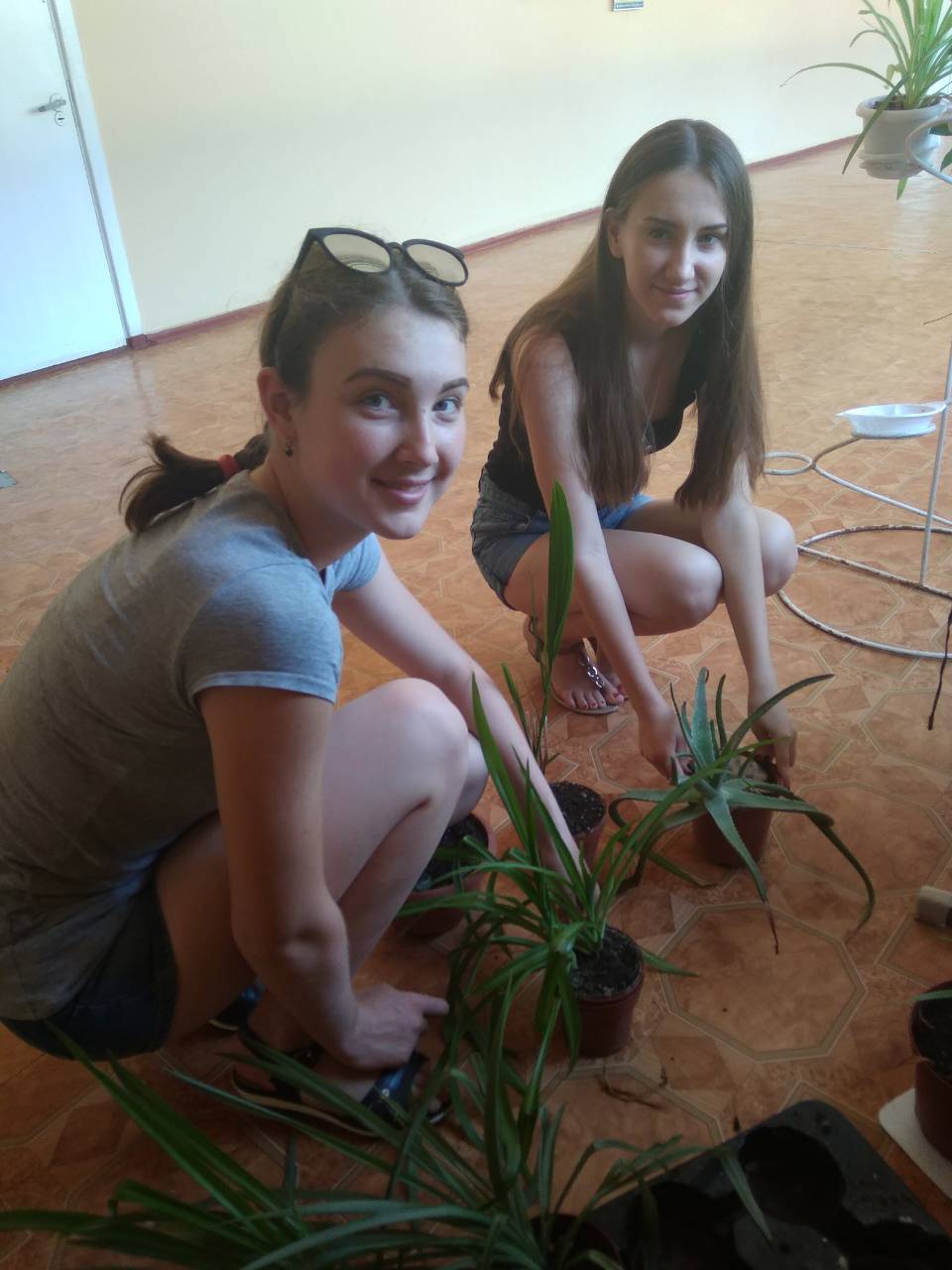 IMG b8f2317029d83ce2e5c709465722b570 V